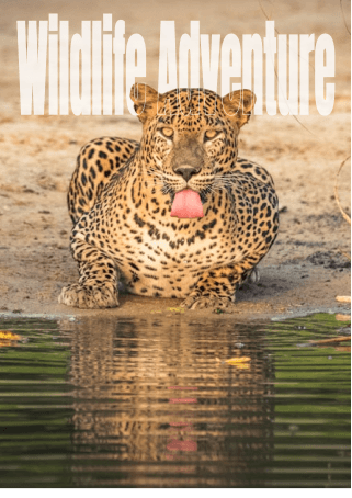 8-Day Sri Lanka Wildlife Safari Adventure