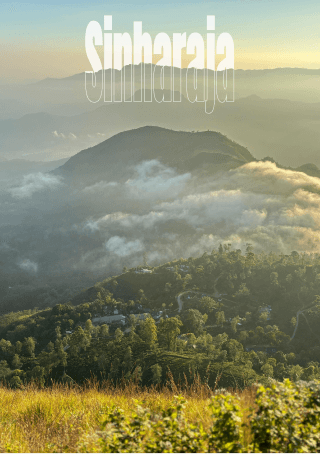 Sinharaja Rainforest Experience