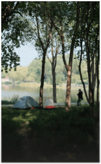 LAKESIDE CAMPING FIRE & BBQ DINNER